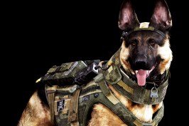 This undated rendered image provided by Activision shows canine star, Riley. "Call of Duty: Ghosts" isn't due until November 2013, but Riley has already become the breakout star of the military shoot-'em-up. After footage released earlier this year revealed that "Ghosts" would feature a four-legged soldier, the Internet uniformly wagged its tail in anticipation. (AP Photo/Activision)