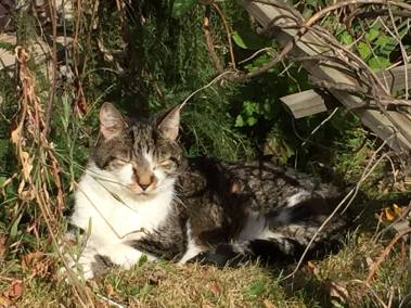 12189264_10207967875864664_974061828700583590_o